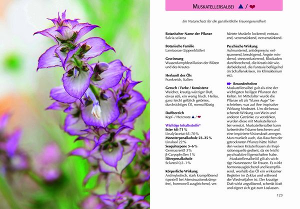 Produktbild: Handbuch &Auml;therische &Ouml;le