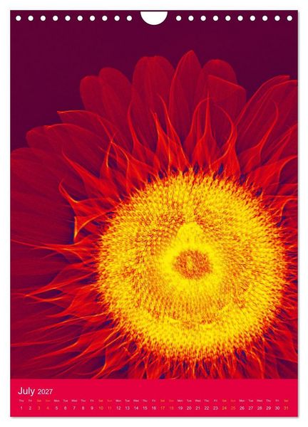 Produktbild: Blossoms between light and colour (Wall Calendar 2027 DIN A4 portrait), CALVENDO 12 Month Wall Calendar