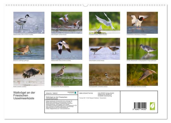 Produktbild: Wattv&ouml;gel an der Friesischen IJsselmeerk&uuml;ste (hochwertiger Premium Wandkalender 2026 DIN A2 quer), Kunstdruck in Hochglanz