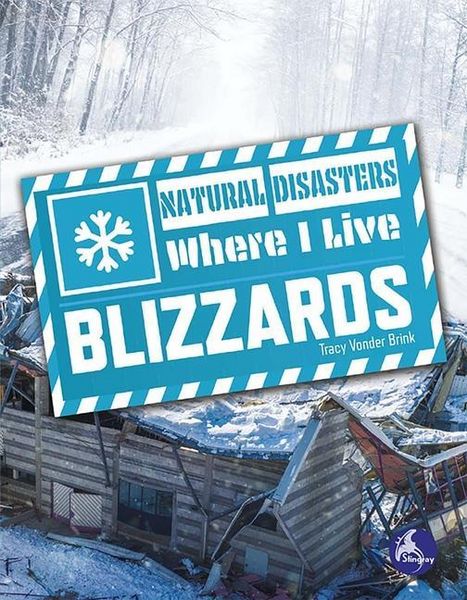 Produktbild: Blizzards