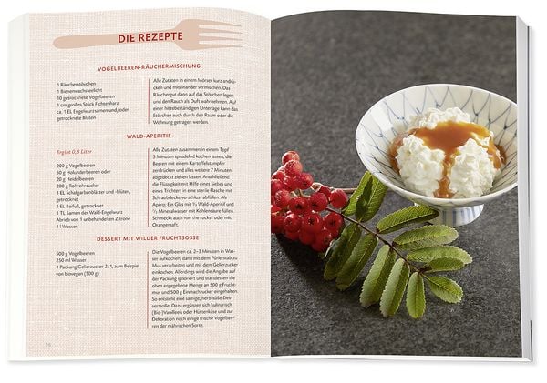 Produktbild: Die Wildpflanzen-Apotheke