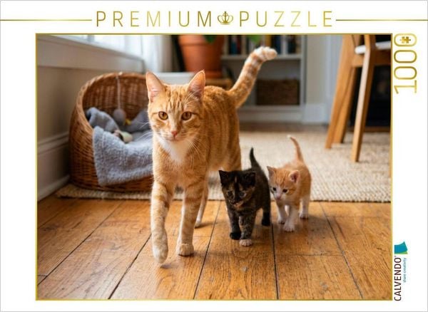 CALVENDO Puzzle Stolze Mutter mit ihren Kätzchen | 1000 Teile Lege-Größe 64x48cm Foto-Puzzle für glückliche Stunden