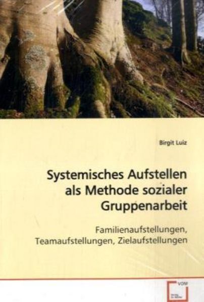 Luiz, B: Systemisches Aufstellen als Methode sozialerGruppen, Taschenbuch von Birgit Luiz, VDM, 9783639117929