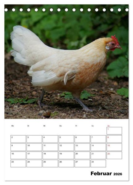 Produktbild: H&uuml;hner Terminplaner (Tischkalender 2026 DIN A5 hoch), CALVENDO Monatskalender