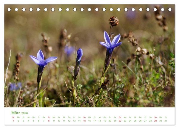 Produktbild: Bergwelt in &Ouml;sterreich (Tischkalender 2026 DIN A5 quer), CALVENDO Monatskalender