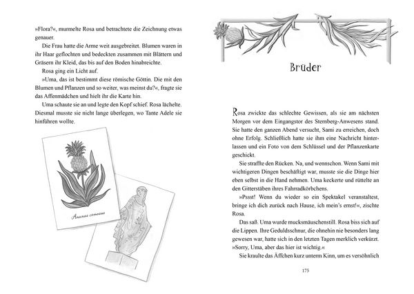 Produktbild: Das Glashaus-Geheimnis