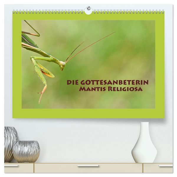 Produktbild: Die Gottesanbeterin Mantis Religiosa (hochwertiger Premium Wandkalender 2026 DIN A2 quer), Kunstdruck in Hochglanz