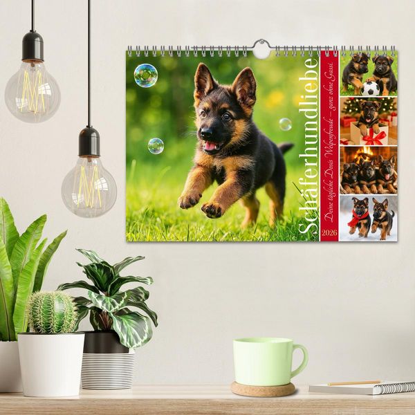 Produktbild: Sch&auml;ferhundliebe - Deine t&auml;gliche Dosis Welpenfreude &ndash; ganz ohne Gassi. (Wandkalender 2026 DIN A4 quer), CALVENDO Monatskalender