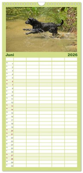 Produktbild: Familienplaner 2026 - Faszination Hund mit 5 Spalten (Wandkalender, 21 x 45 cm) CALVENDO