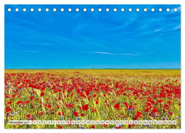 Produktbild: Fischland: zwischen Ostsee und Bodden (Tischkalender 2027 DIN A5 quer), CALVENDO Monatskalender