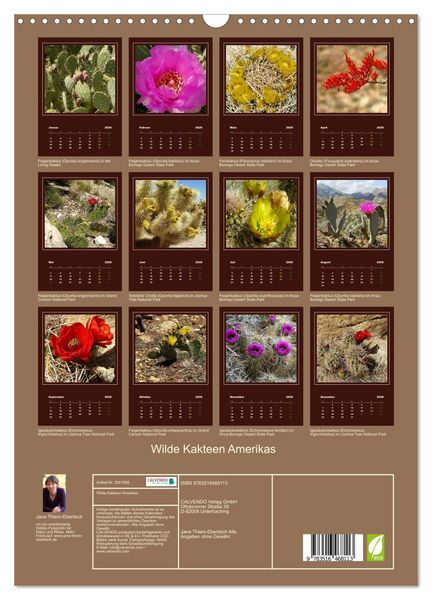 Produktbild: Wilde Kakteen Amerikas (Wandkalender 2026 DIN A3 hoch), CALVENDO Monatskalender