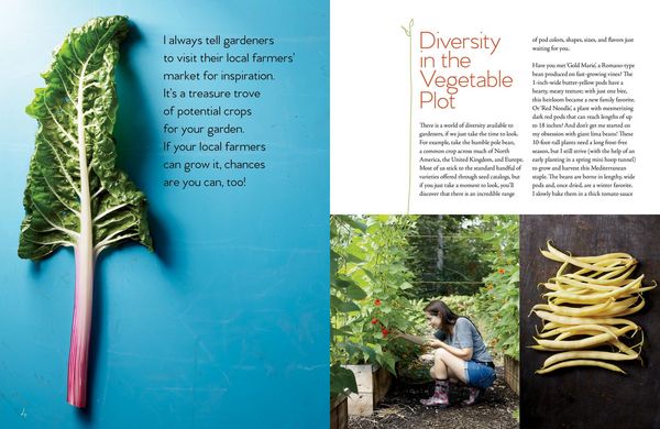 Produktbild: Niki Jabbour's Veggie Garden Remix