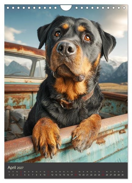 Produktbild: Rottweiler. Kraft, Herz und Treue (Wandkalender 2027 DIN A4 hoch), CALVENDO Monatskalender