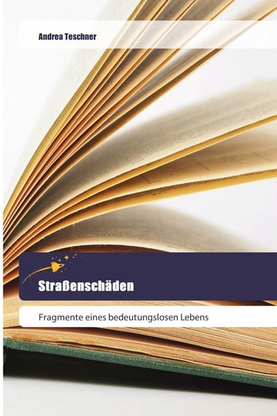 Produktbild: Stra&szlig;ensch&auml;den