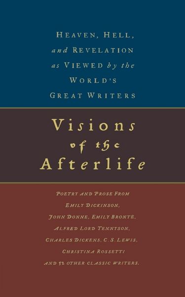 Produktbild: The Visions of the Afterlife