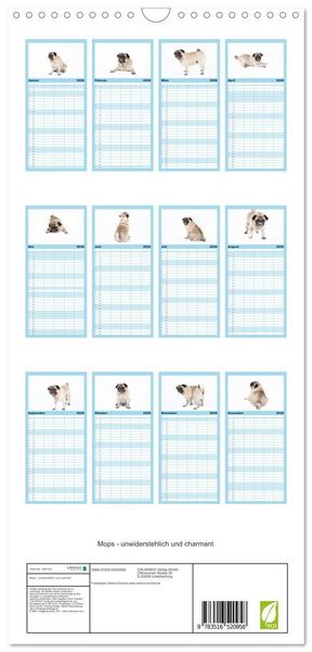 Produktbild: Familienplaner 2026 - Mops - unwiderstehlich und charmant mit 5 Spalten (Wandkalender, 21 x 45 cm) CALVENDO