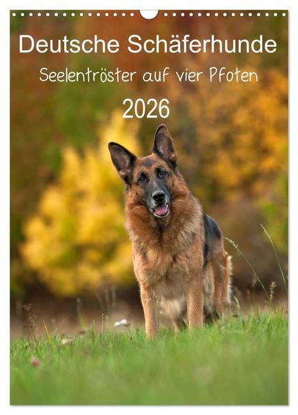 Deutsche Schäferhunde - Seelentröster auf vier Pfoten (Wandkalender 2026 DIN A3 hoch), CALVENDO Monatskalender