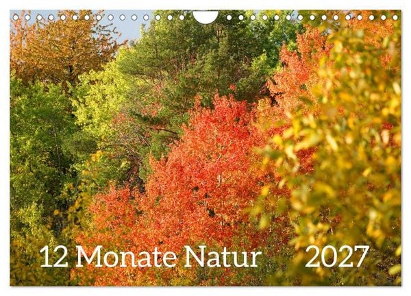 Produktbild: 12 Monate Natur (Wandkalender 2027 DIN A4 quer), CALVENDO Monatskalender