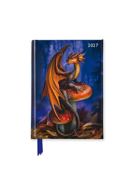 Produktbild: Anne Stokes &ndash; Taschenkalender 2027