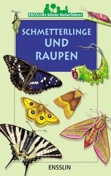 Schmetterlinge und Raupen, Taschenbuch von Léon Rogez, Arena, 9783401452548