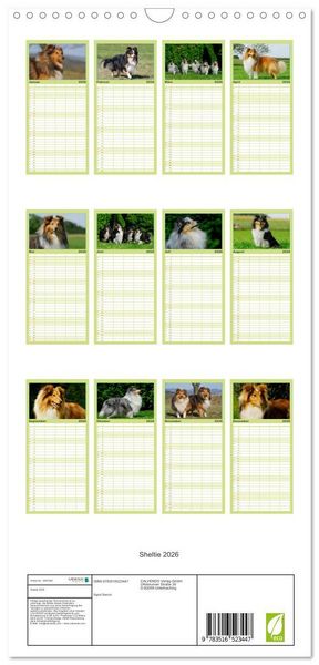 Produktbild: Familienplaner 2026 - Sheltie 2026 mit 5 Spalten (Wandkalender, 21 x 45 cm) CALVENDO