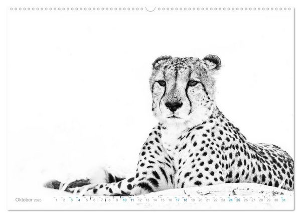 Produktbild: AFRIKA - Schwarz-weiss Fotografien im modernen "High Key" Look (Wandkalender 2026 DIN A2 quer), CALVENDO Monatskalender
