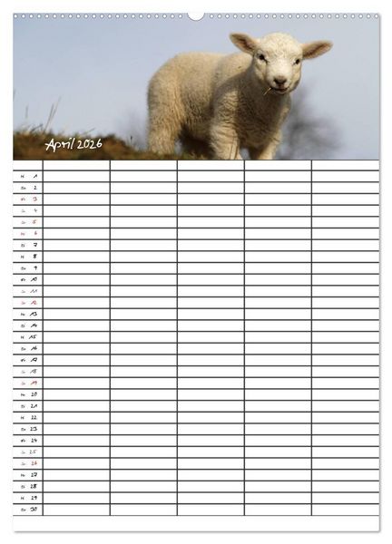 Produktbild: Familienplaner - Sylt (Wandkalender 2026 DIN A2 hoch), CALVENDO Monatskalender