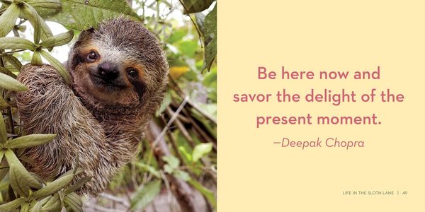 Produktbild: Life in the Sloth Lane