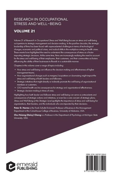 Produktbild: Stress and Well-Being at the Strategic Level