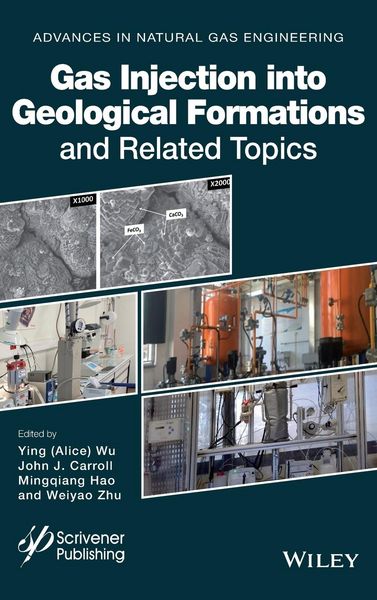 Produktbild: Gas Injection Geological Forma