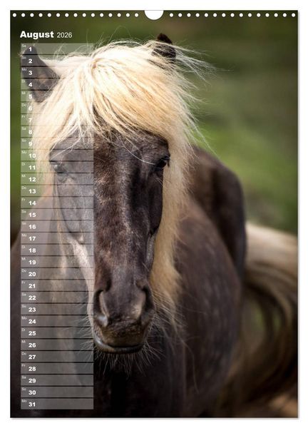 Produktbild: Mein ISLANDPFERDE Planer - Geburtstage, Hof-Feste, Turniere (Wandkalender 2026 DIN A3 hoch), CALVENDO Monatskalender