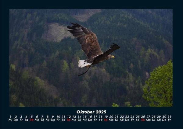 Produktbild: Adler 2025 Fotokalender DIN A4