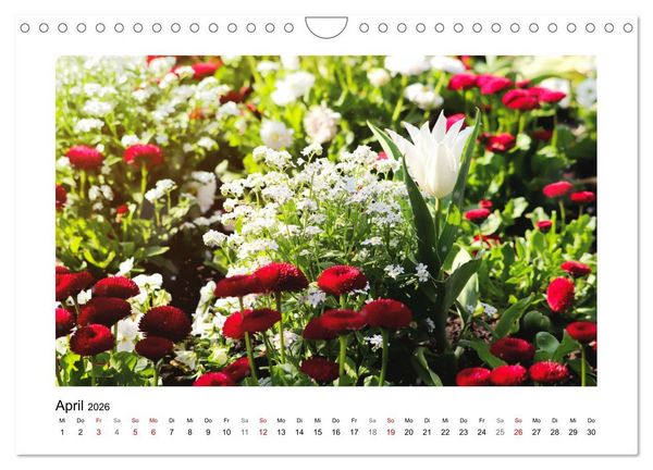 Produktbild: Mein Sehnsuchtsort, der Garten (Wandkalender 2026 DIN A4 quer), CALVENDO Monatskalender