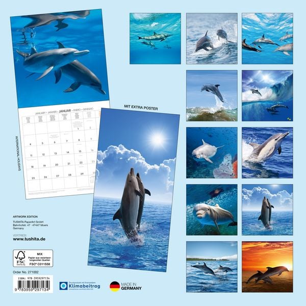 Produktbild: Delfine / Dolphins 2027