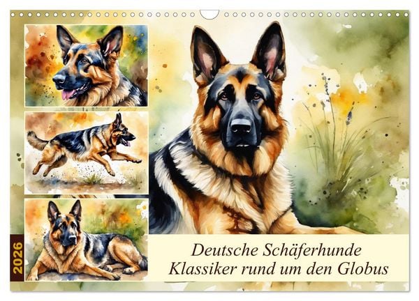 Deutsche Schäferhunde - Klassiker rund um den Globus (Wandkalender 2026 DIN A3 quer), CALVENDO Monatskalender