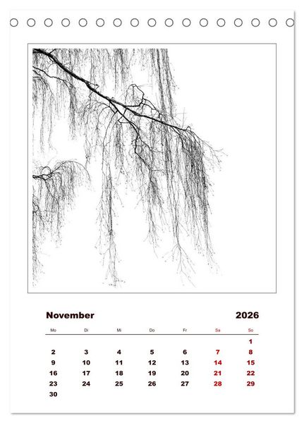 Produktbild: LignoGrafica - Muster und Strukturen der B&auml;ume (Tischkalender 2026 DIN A5 hoch), CALVENDO Monatskalender
