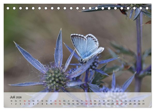 Produktbild: Abruzzen - wild und romantisch (Tischkalender 2026 DIN A5 quer), CALVENDO Monatskalender