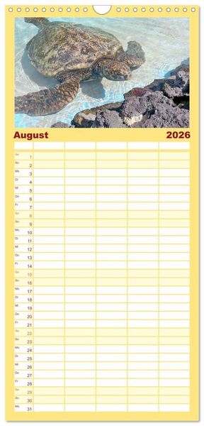 Produktbild: Familienplaner 2026 - Schildkr&ouml;ten - Gepanzerte Urzeitwesen mit 5 Spalten (Wandkalender, 21 x 45 cm) CALVENDO
