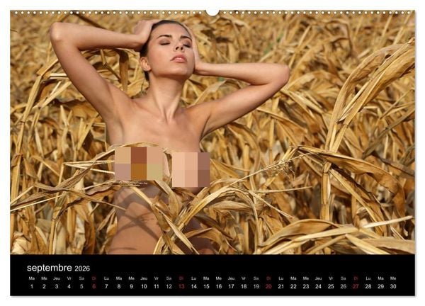 Produktbild: Beaut&eacute;s hongroises (Calendrier mural 2026 DIN A2 vertical) calendrier de bureau