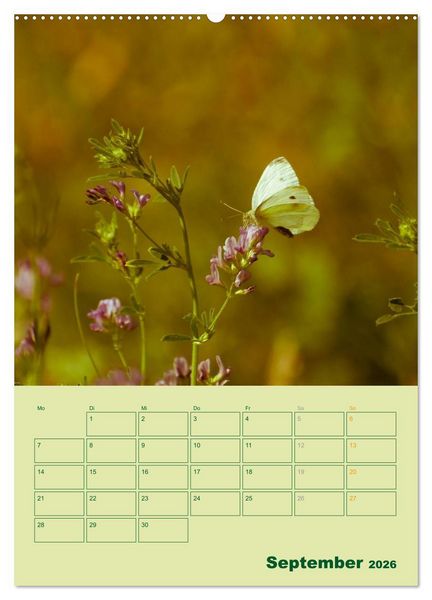 Produktbild: Wald- und Wiesenkalender 2026 Planer (hochwertiger Premium Wandkalender 2026 DIN A2 hoch), Kunstdruck in Hochglanz