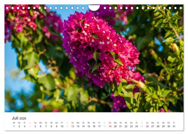 Produktbild: Kreta. Im S&uuml;den (Wandkalender 2026 DIN A4 quer), CALVENDO Monatskalender