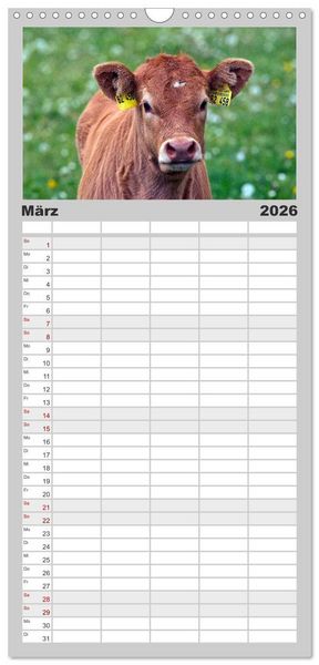 Produktbild: Familienplaner 2026 - Kuh und Co. mit 5 Spalten (Wandkalender, 21 x 45 cm) CALVENDO