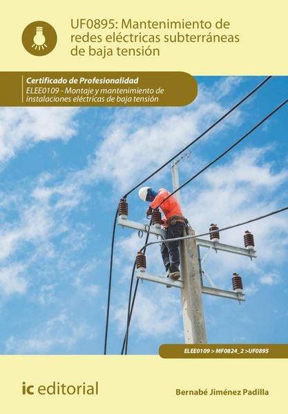 Produktbild: Mantenimiento de redes el&eacute;ctricas subterr&aacute;neas de baja tensi&oacute;n. ELEE0109