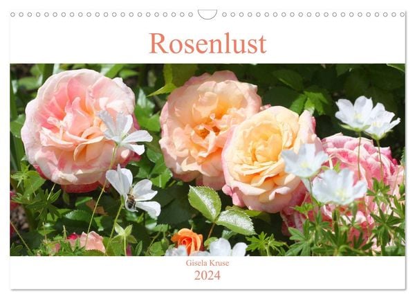 Rosenlust (Wandkalender 2024 DIN A3 quer), CALVENDO Monatskalender