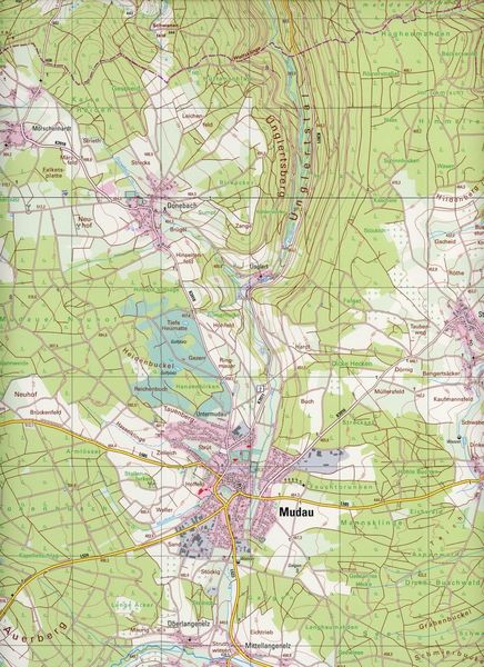 Produktbild: Buchen (Odenwald)