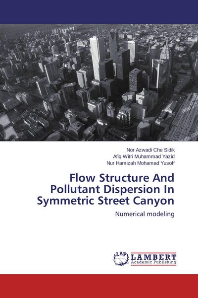 Produktbild: Flow Structure And Pollutant Dispersion In Symmetric Street Canyon