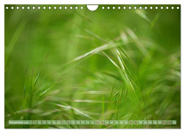 Produktbild: GR&Uuml;N Harmonie Wachstum Zufriedenheit (Wandkalender 2026 DIN A4 quer), CALVENDO Monatskalender