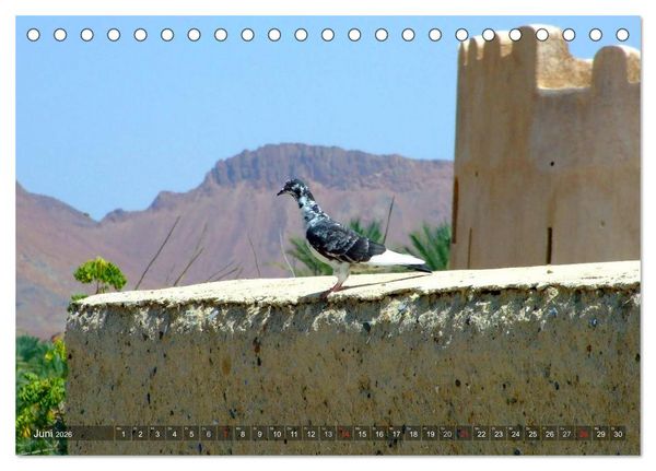 Produktbild: Oman - Eine Bilder-Reise (Tischkalender 2026 DIN A5 quer), CALVENDO Monatskalender