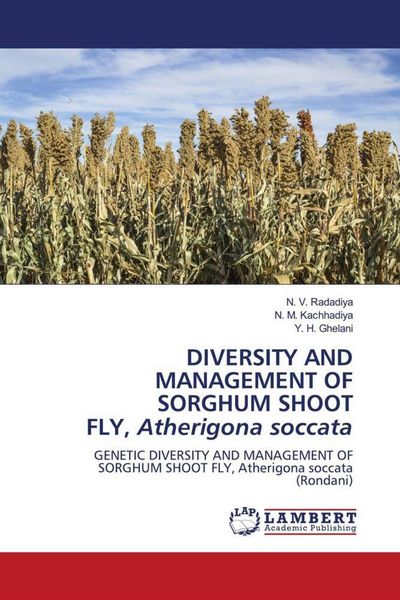 Produktbild: Diversity and Management Of Sorghum Shoot Fly, Atherigona Soccata