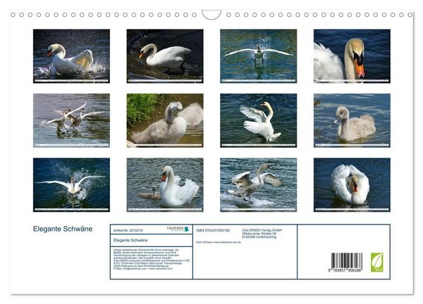 Produktbild: Elegante Schw&auml;ne (Wandkalender 2026 DIN A3 quer), CALVENDO Monatskalender